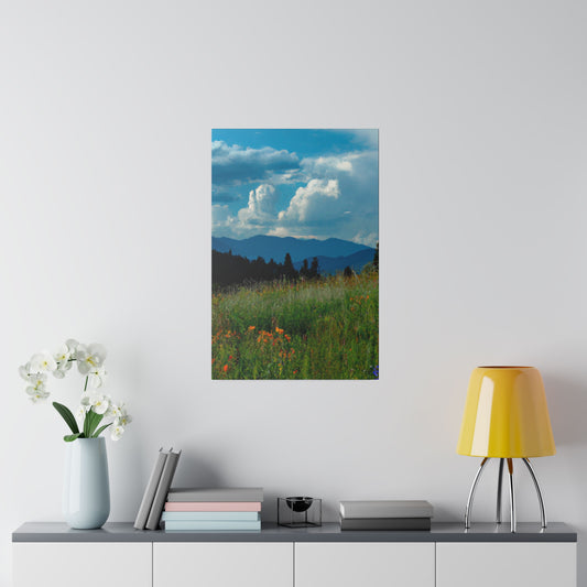 Canvas print depicting a mountain meadow filled with tall grasses and wildflowers, with distant mountains and a sky of contrasting dark clouds and tranquil blue. Framed in ethically-sourced radial pine, back hanging included.